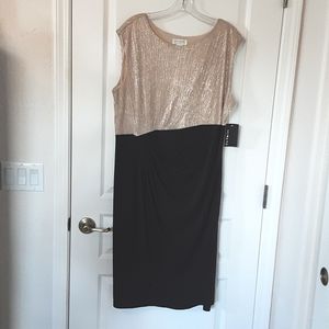 Enfocus Studio Dress